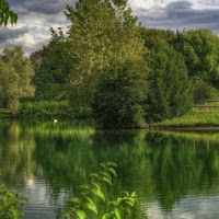 Sul Lago Piccolo di 