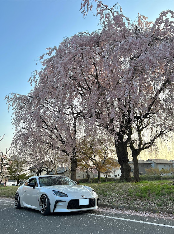GR86のADVAN Racing・GR86・zn8・86・サクラと愛車に関するカスタム事例の投稿画像1枚目