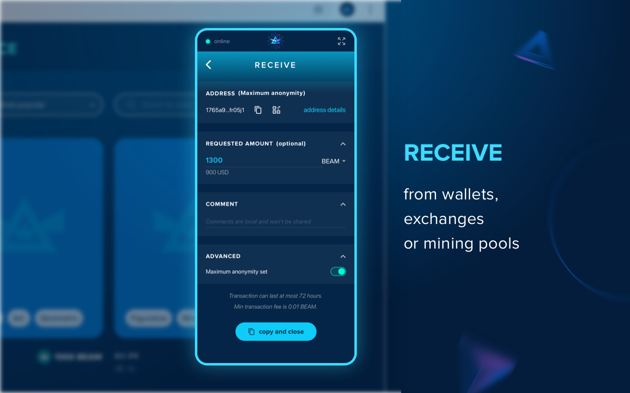 Beam Web Wallet Preview image 5