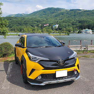 C-HR NGX50