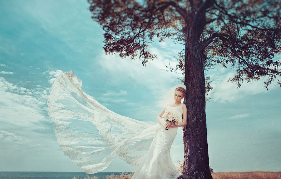 Wedding photographer Dmitriy Vasilenko (dmvasilenko). Photo of 4 March 2014