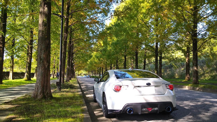 BRZの太陽が丘メタセコイヤ・メタセコイア河北潟・撮影の練習・千里浜なぎさドライブウェイ・コラボ写真に関するカスタム事例の投稿画像2枚目