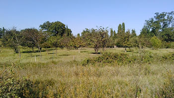 maison neuve à Morières-lès-Avignon (84)