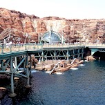 Mysterious Island at Tokyo DisneySea in Urayasu, Japan 