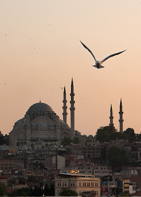 Moschea blu di Alessandro Mangione