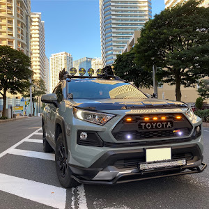 RAV4 MXAA54