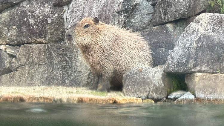 の投稿画像48枚目