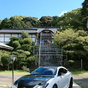 RC F USC10