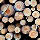 Wood Wallpapers FullHD New Tab