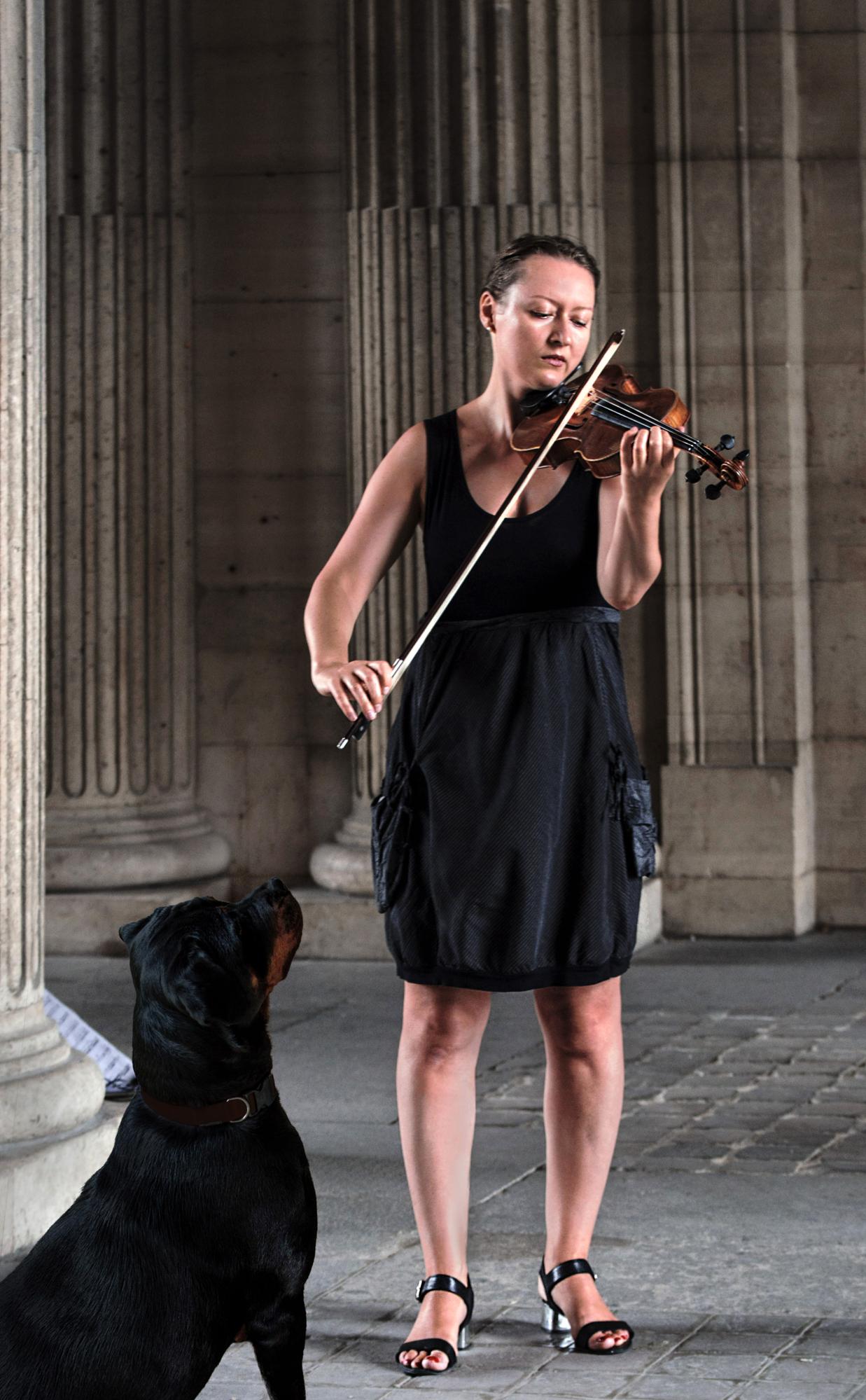 La magia del violino di Aldo Rizzardi 