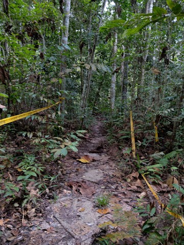 Gunung Angsi via Ulu Bendul