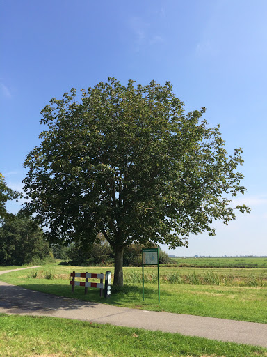 Groene Hart Reeuwijk