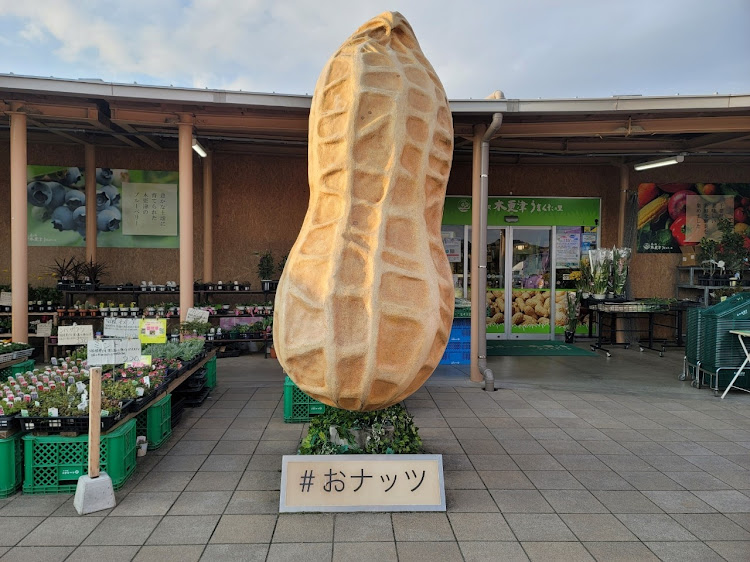 スイフトスポーツのTeamカレー味に関するカスタム事例の投稿画像8枚目
