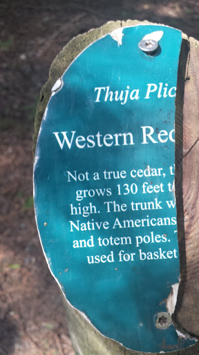 Western Red Cedar Plaque