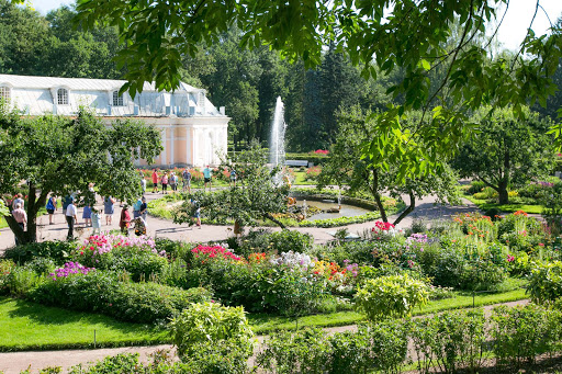 Peterhof-Palace-fountain.jpg - One of the pretty fountains at Peterhof Palace.