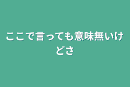 ここで言っても意味無いけどさ