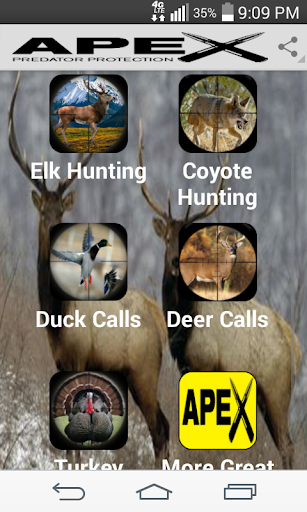 Elk Hunting Calls