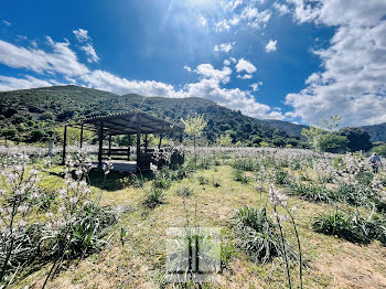 terrain à Castifao (2B)