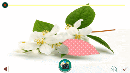 Jasmine Flowers Photo Frame