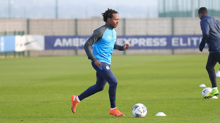 Brighton and Hove Albion striker Percy Tau during a training session.