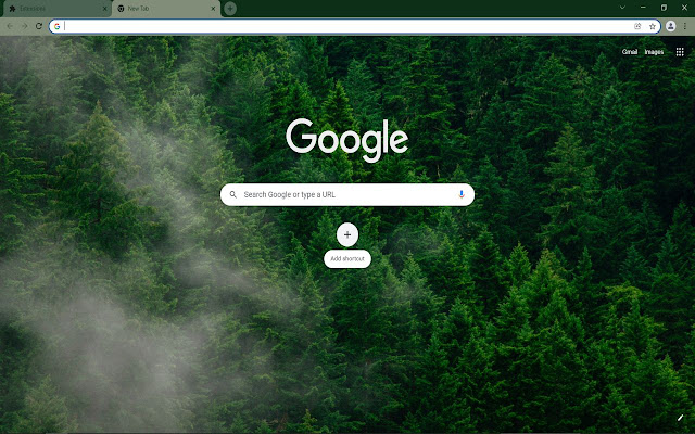 Forest Aerial View chrome extension