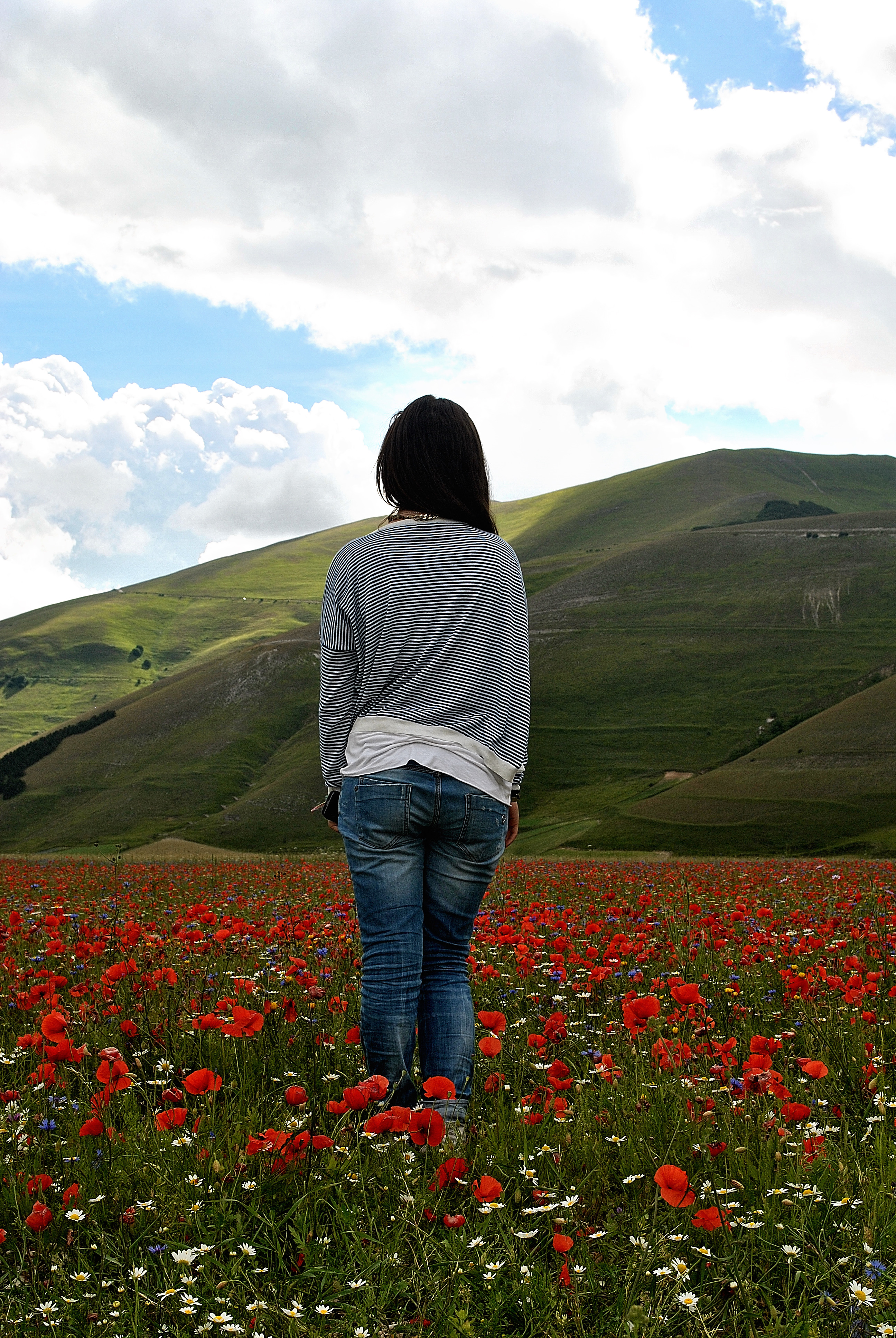 Fioritura a Castelluccio  di chiara_santarelli