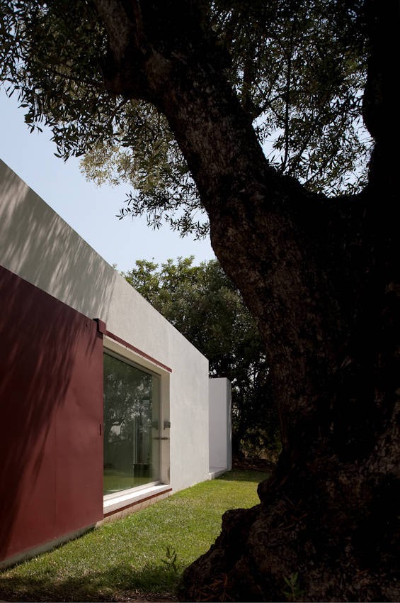 Casa de los Agostos - Pedro Domingos Arquitectos