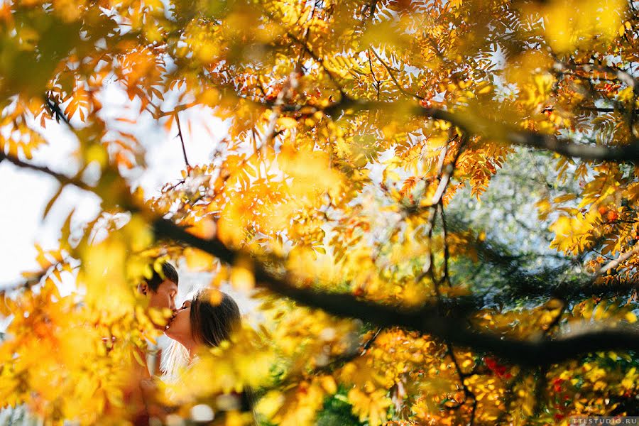 Fotografo di matrimoni Mikhail Toropov (ttlstudio). Foto del 5 novembre 2015