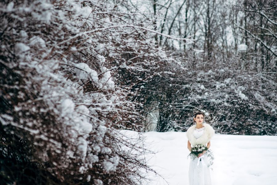 結婚式の写真家Aleksandr Karpovich (karpovich)。2016 2月11日の写真