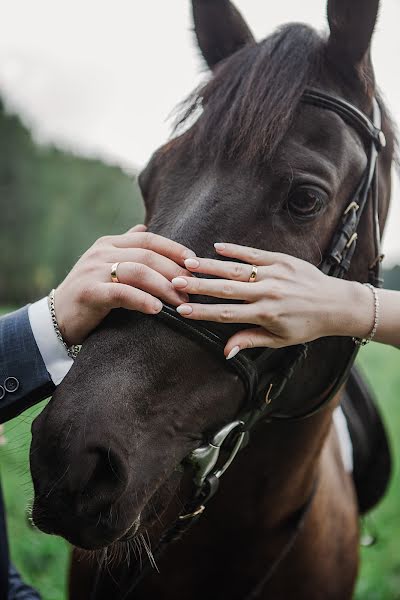 Bröllopsfotograf Nikolay Dolgopolov (ndol). Foto av 22 januari 2020