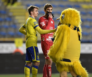 Kanariepietjes niet alleen te bewonderen op Stayen, deze clubs delen beestige bijnaam met STVV