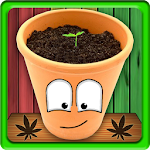 Cover Image of Скачать MyWeed - Weed Growing Game 3.7 APK