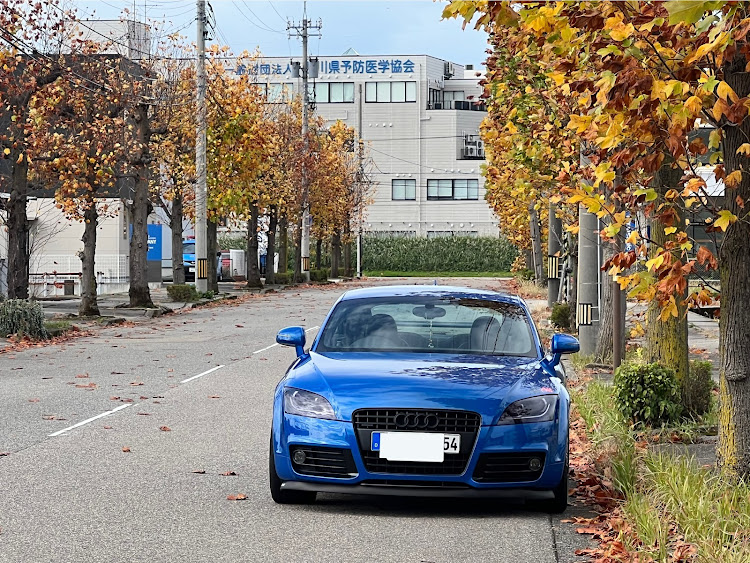 TT クーペの紅葉と愛車・プロテクションフィルム・紅葉ドライブに関するカスタム事例の投稿画像3枚目