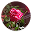 Kelliena Psychic Readings App Download on Windows