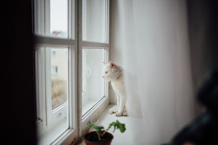 Huwelijksfotograaf Pavel Yudakov (yudakov). Foto van 28 december 2015