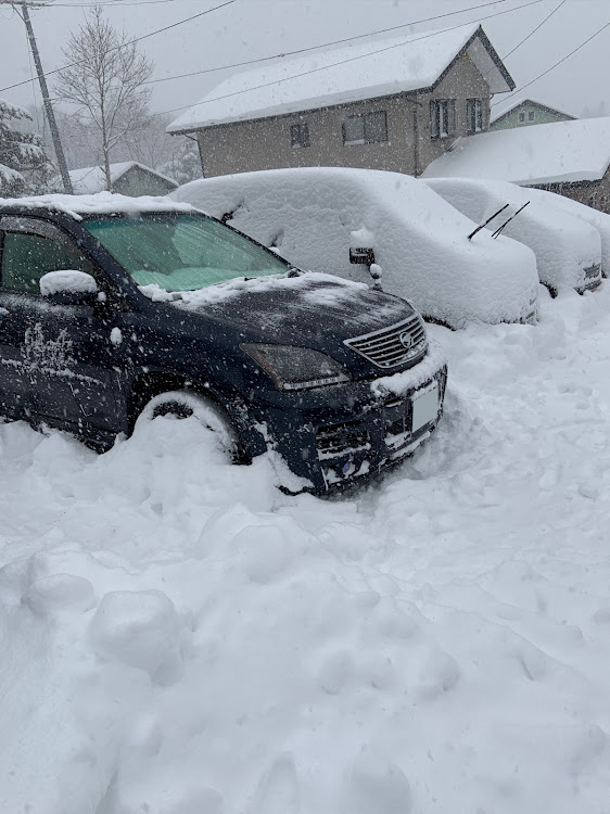 ハリアーの大雪警報発令中・雪と愛車・朝から雪かきに関するカスタム事例の投稿画像1枚目