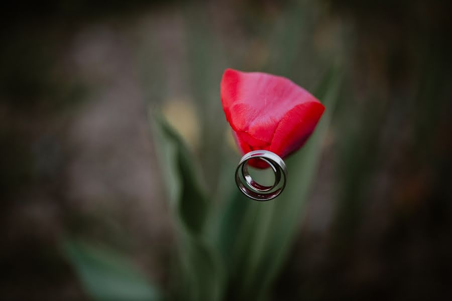 Fotografo di matrimoni Jozef Potoma (jozefpotoma). Foto del 27 aprile 2018