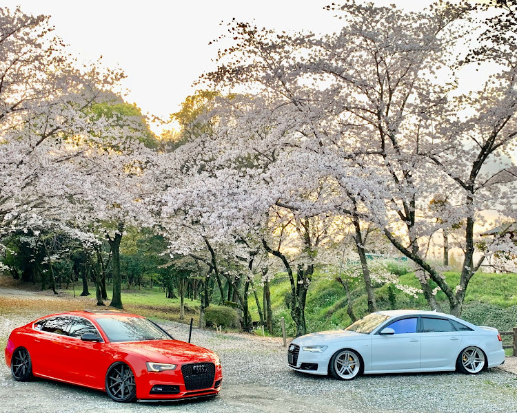 S5 スポーツバックの桜と愛車・S5sportback・A6アバント・Hyperforged・stancenationに関するカスタム事例の投稿画像3枚目