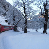 In viaggio tra le Alpi di 