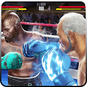 Boxing Fighting 3D  Icon