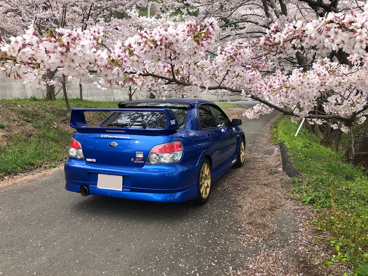 インプレッサ WRX STIの桜とコラボ・サクラと愛車・ドライブ・桜に関するカスタム事例の投稿画像2枚目