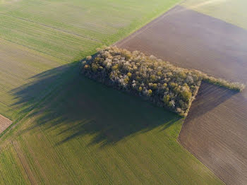 maison neuve à Isle (87)