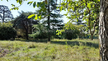 terrain à Saint-Georges-sur-Cher (41)