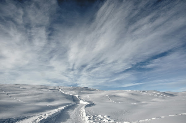 La Cattiva Strada di ottantuno