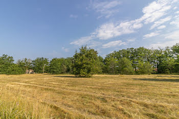 terrain à La Ferté-Imbault (41)