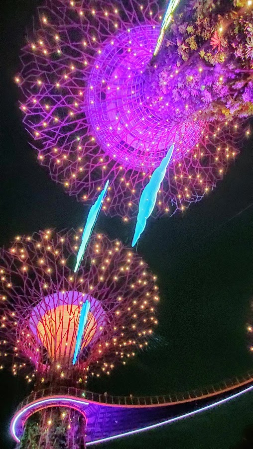 Guide to visiting Gardens by the Bay in Singapore: Supertree Grove in the evening