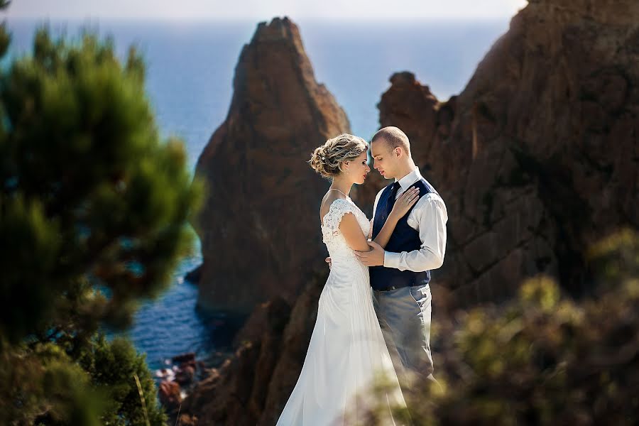 Fotografo di matrimoni Svetlana Shevchuk (telhar). Foto del 5 gennaio 2018