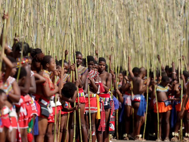 Maidens endure scorching heat while waiting to hand over their reeds to King Misuzulu kaZwelithini during Umkhosi Womhlanga at Emachobeni Royal Palace in Ingwavuma.