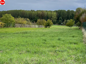 terrain à Saint-germain-des-pres (45)