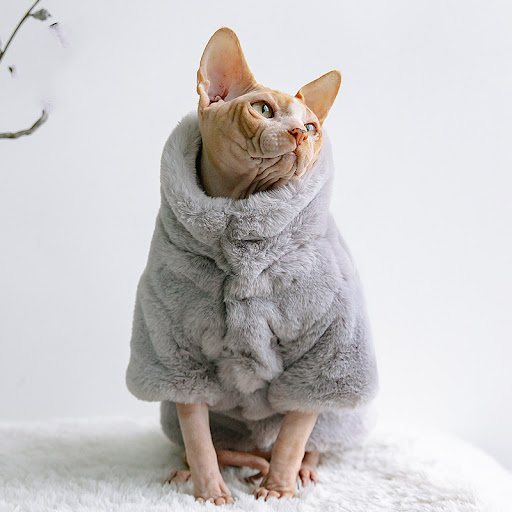 Title 4, Hairless Cat Clothes for Autumn and Winter, Thi...
